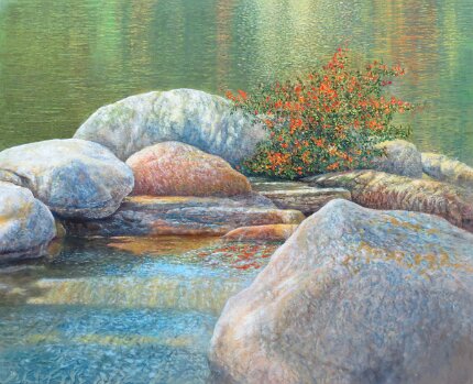 516-water-rock-and-lantana-dixon